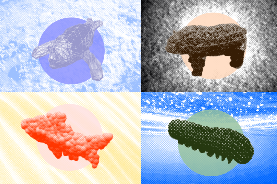 Read more about the article Open-source platform simulates wildlife for soft robotics designers
