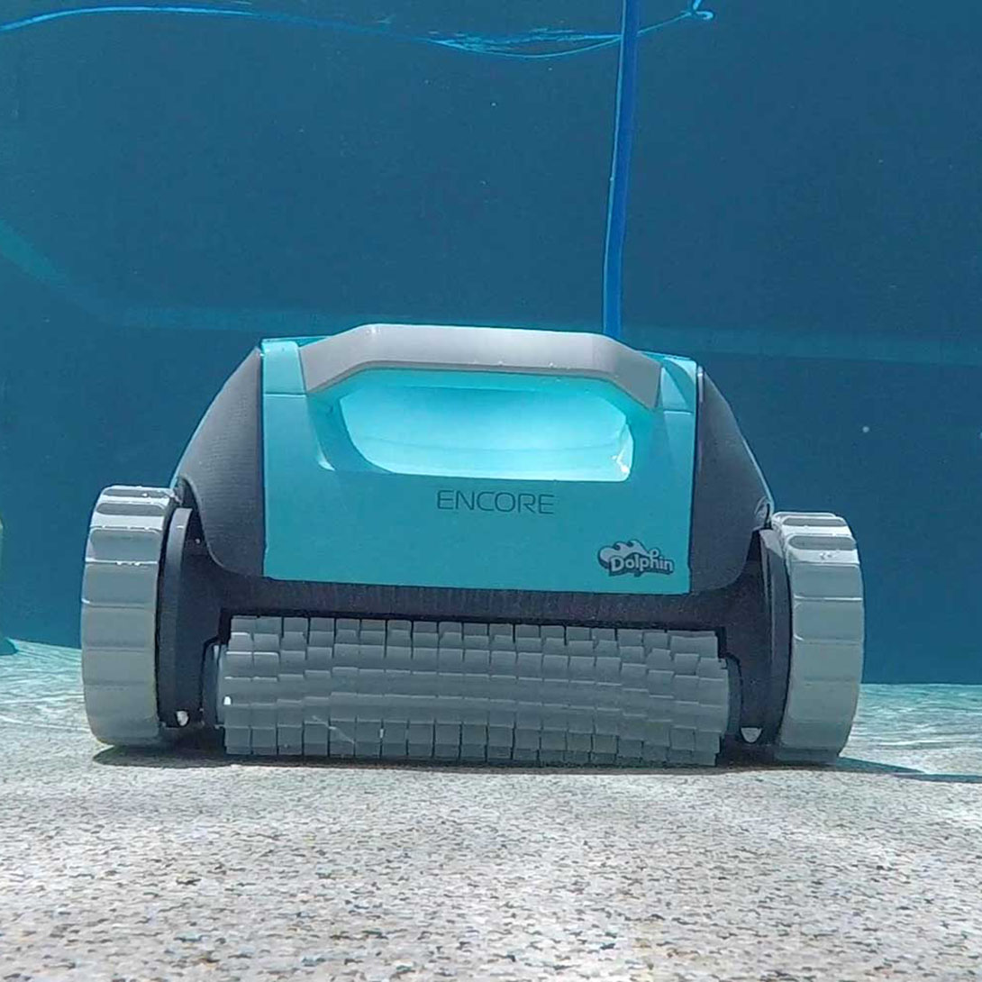 Dolphin Encore - Image 7