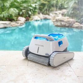 Dolphin Proteus DX5i