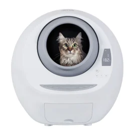 Leo’s Loo