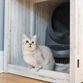 Litter-Robot 3 Connect Coastal Credenza Bundle