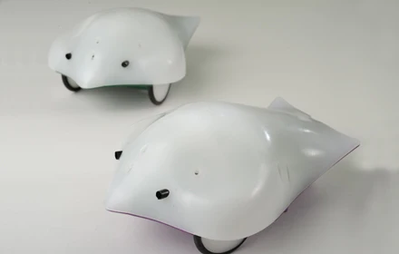 Original Finch Robot - Image 4