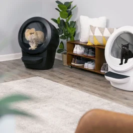 Litter-Robot 4 Double Bundle
