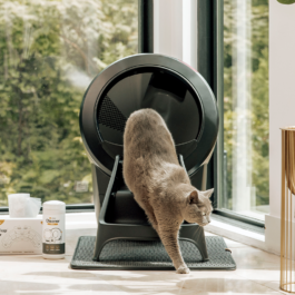 Litter-Robot 4 Clean Bundle