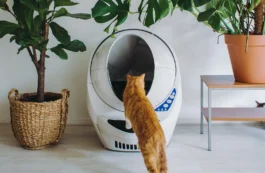 Litter-Robot 3 Connect - Reconditioned - Image 2