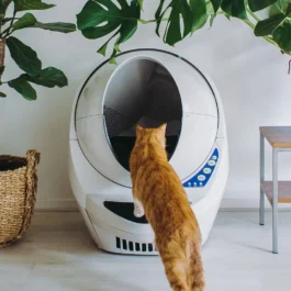 Litter-Robot 3