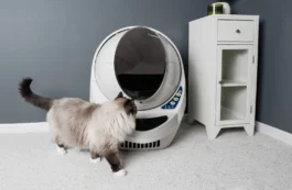 Litter-Robot 3 Connect - Reconditioned - Image 5