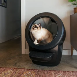 Litter-Robot 4 Warranty Bundle