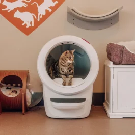 Litter-Robot 4 Best Friends® Bundle
