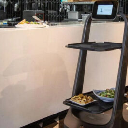 X1 Food Delivery Robot