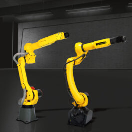 M-10iD/10L