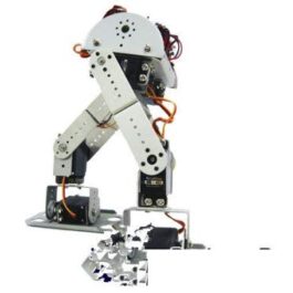 GOWE AS-6DOF Biped Robot (Without Electrict Part)
