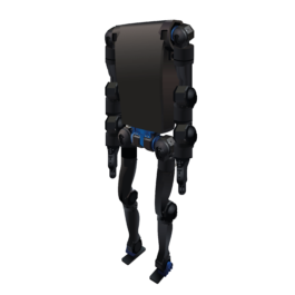 Rocky Biped-Humanoid