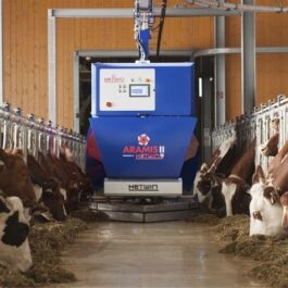 ARAMIS II Cattle feeding robot