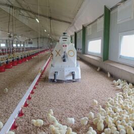 XO MINI Multipurpose Farm Robot