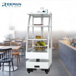 Stuff Delivery Robot