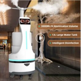 Reeman Disinfection Robot
