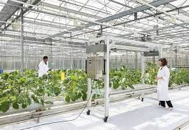 TraitFinder Plant phenotyping robot